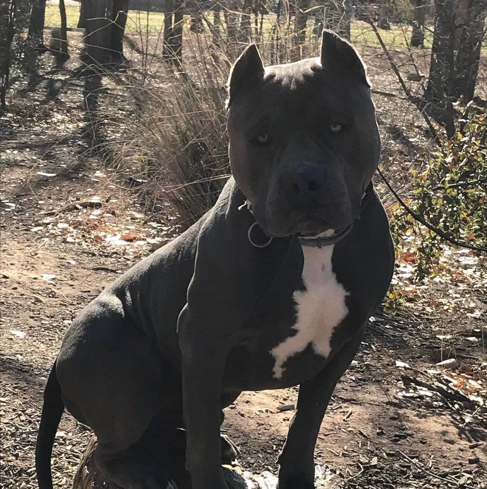 Meet your Posher, Carolyn